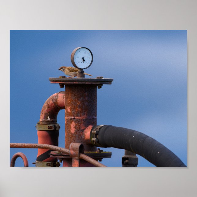 Luftdruckplakat für die Prüfung von Funken Poster (Vorne)