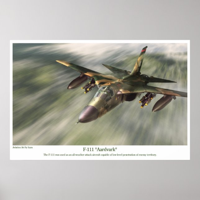 Luftfahrt-Kunstposter " F-111 Aardvark" Poster (Vorne)
