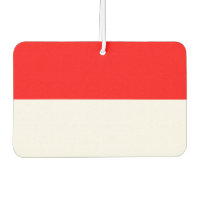 Luftkühler mit Flagge Indonesiens