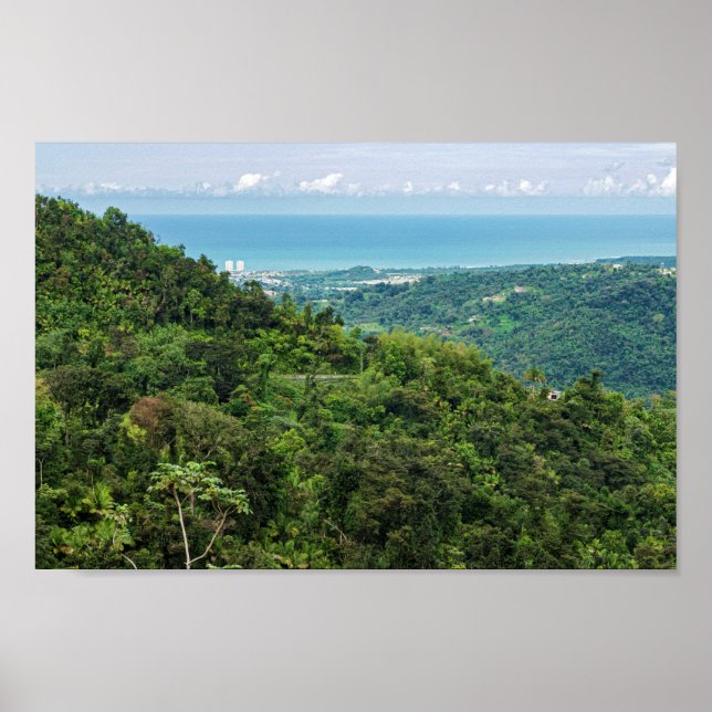 Luftschiff des Puerto rico el yunque Poster (Vorne)