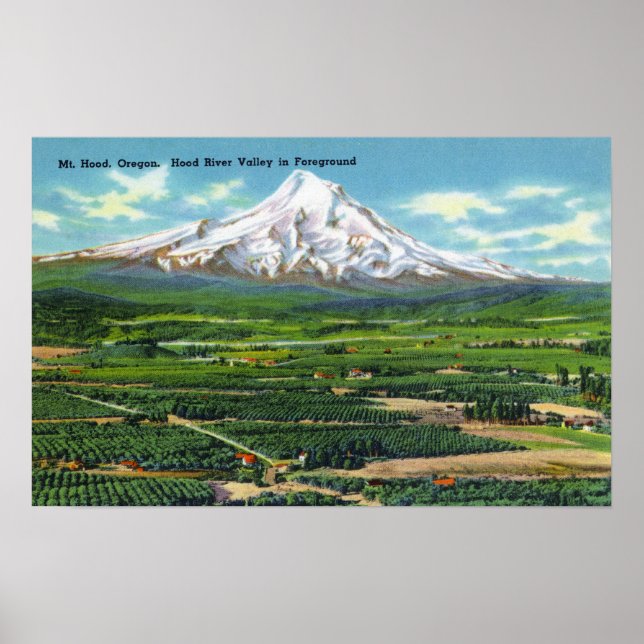 Luftsicht auf Hood River Valley and Mountain Poster (Vorne)