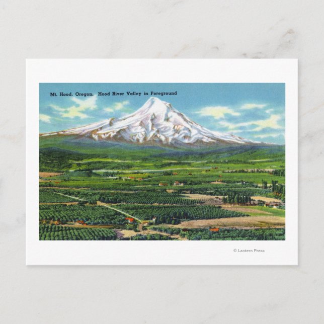 Luftsicht auf Hood River Valley and Mountain Postkarte (Vorderseite)