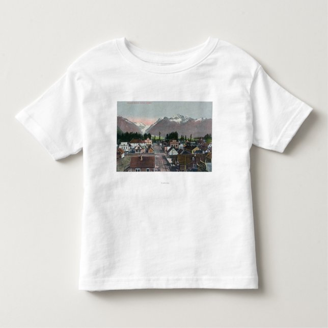Luftsommer-Ansicht des CityValdez, AK Kleinkind T-shirt (Vorderseite)