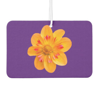 Luftverbesserungsblume Autolufterfrischer
