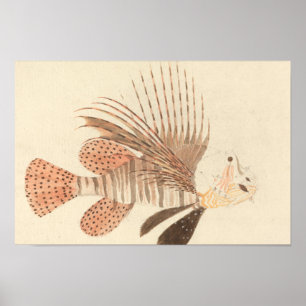 Luigi Balugani - Lionfish Poster