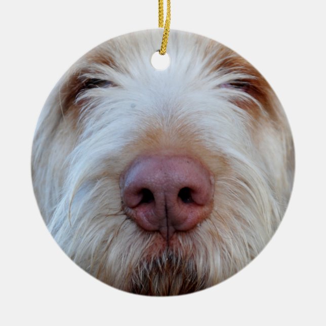 Luigi Booper Keramik-Verzierung Keramikornament (Vorne)