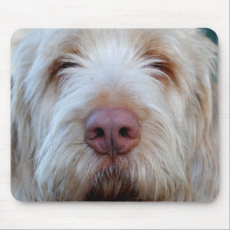 Luigi Booper Mousepad