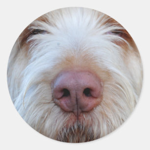 Luigis Booper-Aufkleber Runder Aufkleber