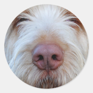 Luigis Booper-Aufkleber Runder Aufkleber