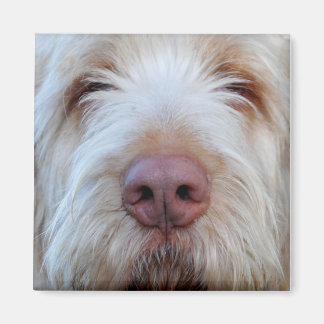 Luigis Booper-Kühlschrankmagnet Magnet