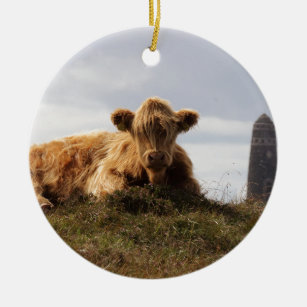 Luing Kuh auf der Insel von Islay, Schottland Keramikornament