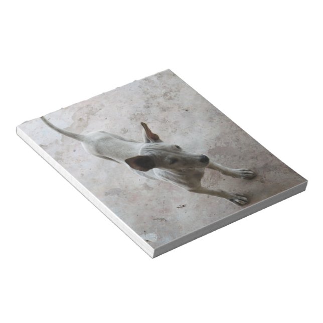 Luk Maa ... Thai Soi Puppy Dog Notizblock (angewinkelt)