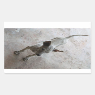 Luk Maa ... Thai Soi Puppy Dog Rechteckiger Aufkleber