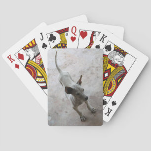 Luk Maa ... Thai Soi Puppy Dog Spielkarten