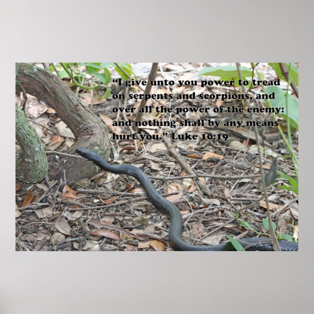 Luke 10:19 Bibelposter Poster (Vorne)