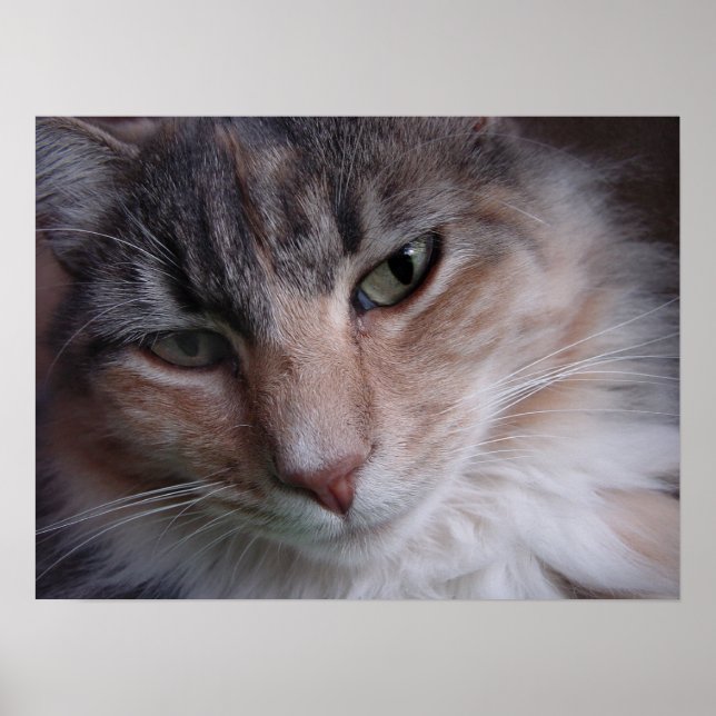 Lulu nah-up poster (Vorne)