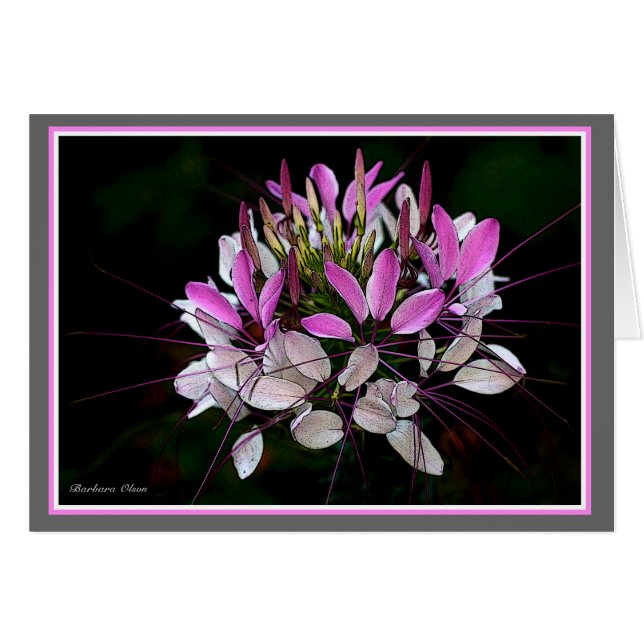 Lulus Garten (Vorderseite (Horizontal))