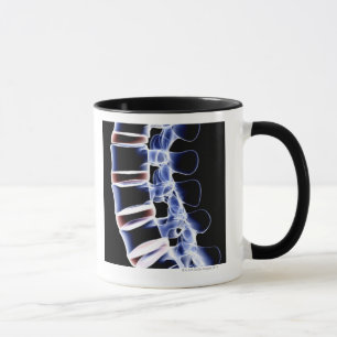 Lumbale Wirbel 2 Tasse