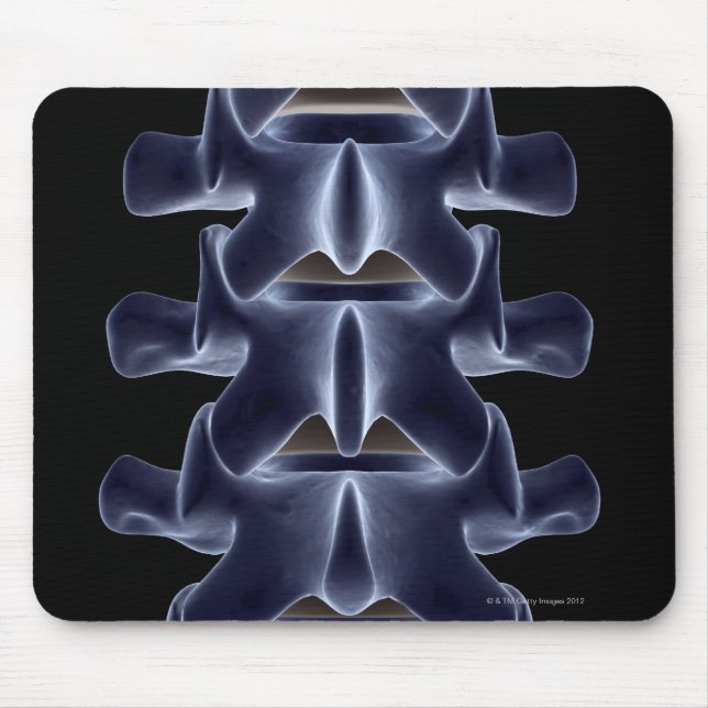 Lumbar Vertebra 2 Mousepad (Vorne)