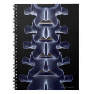 Lumbar Vertebra 2 Notizblock