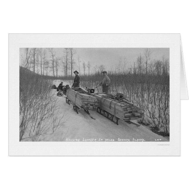 Lumber Dog Seward, Alaska 1917 (Vorderseite (Horizontal))