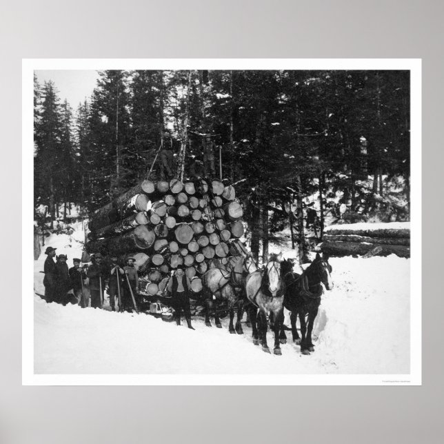 Lumber Hauling Seward, Alaska 1919 Poster (Vorne)