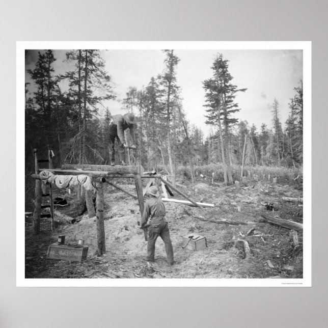 Lumberjacks in Alaska 1916 Poster (Vorne)