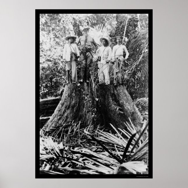 Lumberjacks in der Region Mindoro, Philippinen 190 Poster (Vorne)