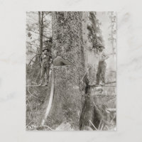 Lumberjacks mit Riesenfeuer, 1905