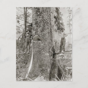 Lumberjacks mit Riesenfeuer, 1905 Postkarte