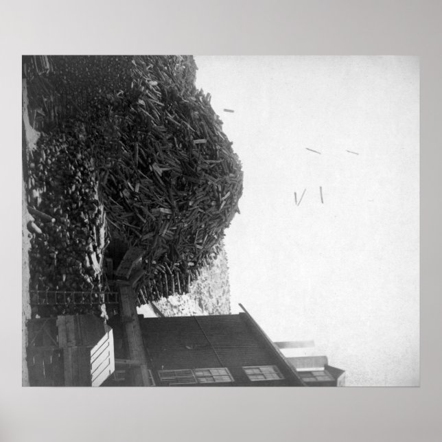 Lumberstapel außerhalb des De Smet Mill Fotografen Poster (Vorne)