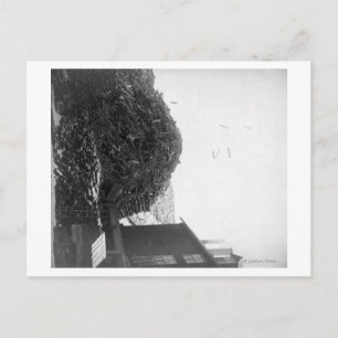 Lumberstapel außerhalb des De Smet Mill Fotografen Postkarte