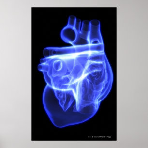 Luminescent view of the human heart poster