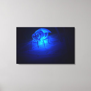 Lumineszenzillustration einer tsetse Fliege Leinwanddruck