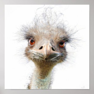 Luminöse Emu Art Huhn Art Poster