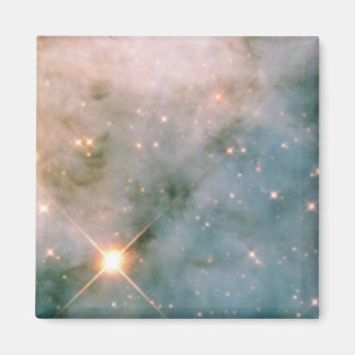 Luminous Carina Nebula Magnet