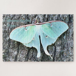 Luminous Emerald Wings - Stille Ember Puzzle