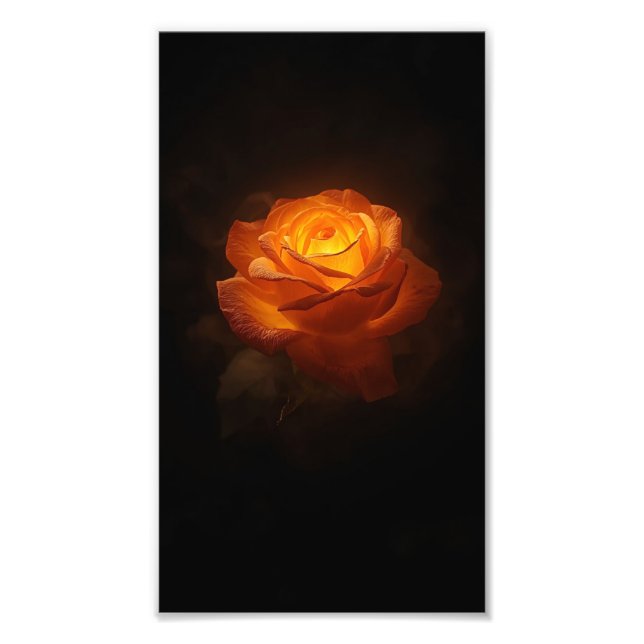Luminous Orange Rose on Black Velvet – Elegant Flo Fotodruck (Vorne)