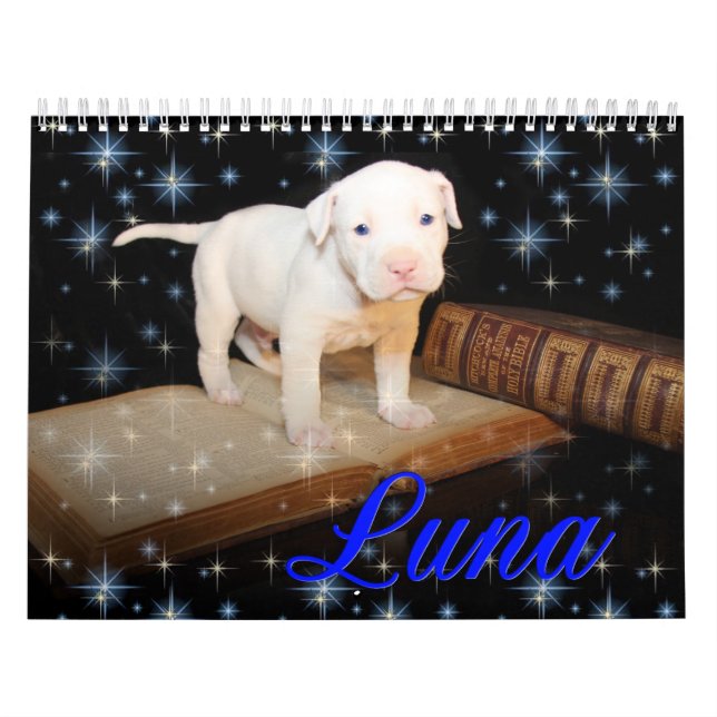 Luna der gerettete verlassene Welpen-Hund Kalender (Titelbild)