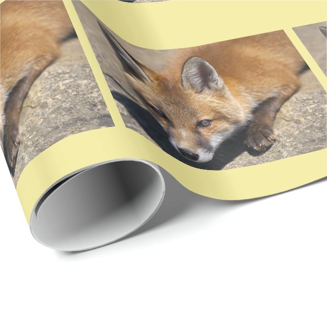 Luna Fox Geschenkpapier (Rolleneckpunkt)