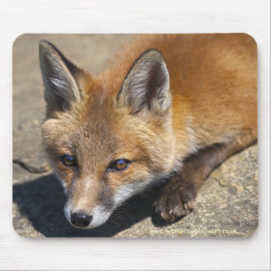 Luna Fox-Mauspad Mousepad