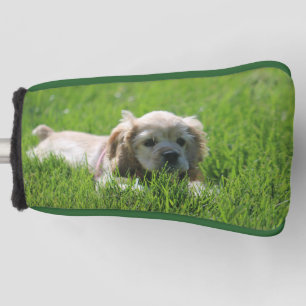 Luna Golf Headcover