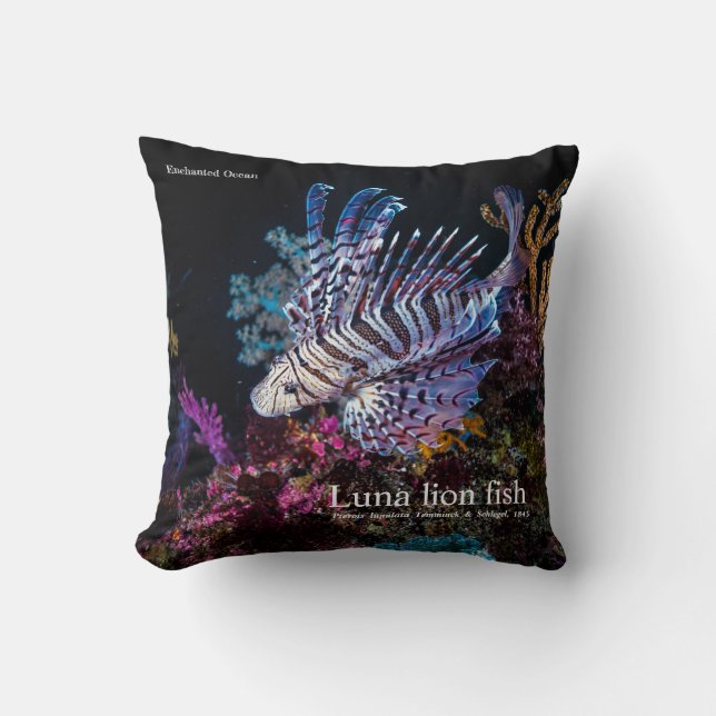 Luna, Löwe, Pterois lunulata, Kissen (Vorderseite)