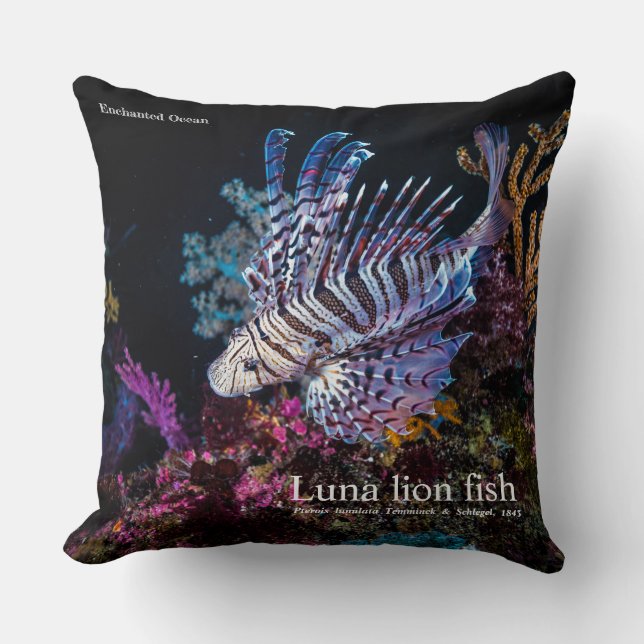 Luna, Löwe, Pterois lunulata, Kissen (Vorderseite)