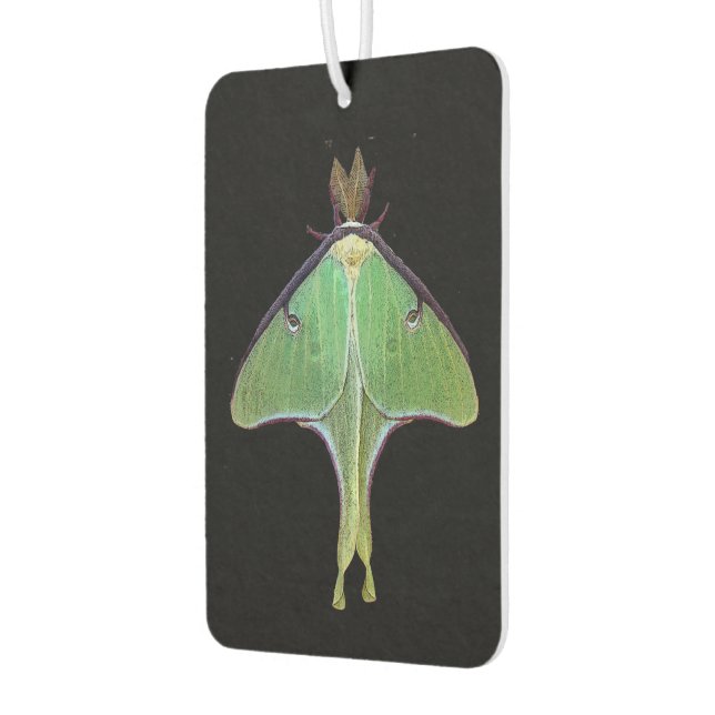 Luna Moth Air Freshener Autolufterfrischer (Links)
