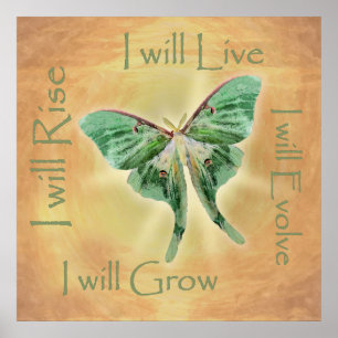 Luna Moth Artistic Motivierend Poster Print