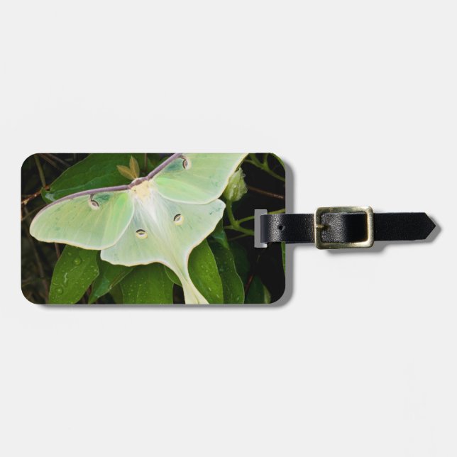 Luna Moth auf Carnaby Clematis Gepäckanhänger (Vorderseite horizontal)