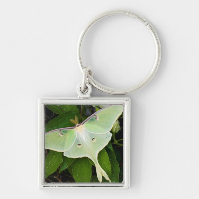 Luna Moth auf Carnaby Clematis Schlüsselanhänger (Vorne)