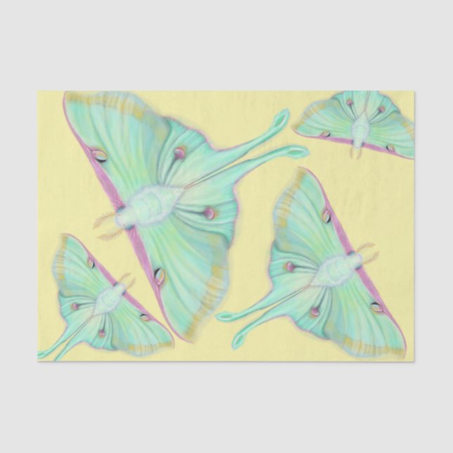 Luna Moth auf Gelb Seidenpapier (Vorderseite)