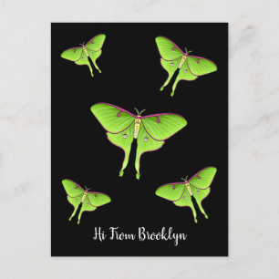 Luna Moth Cartoon Illustration Postkarte